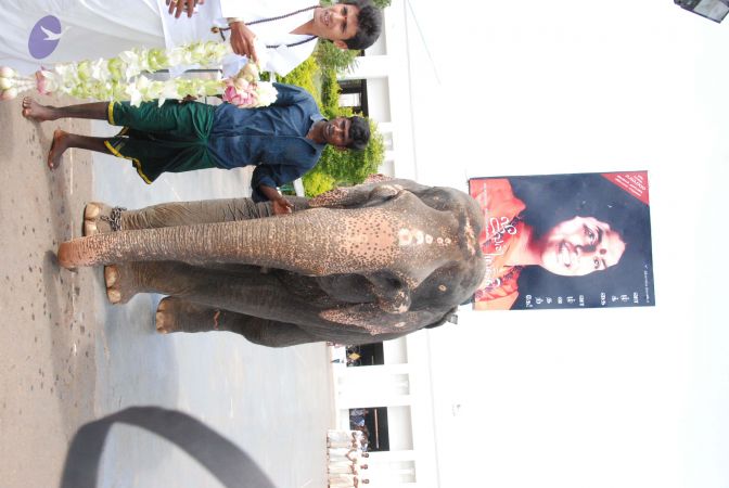 20090711 Photo 1011 1UX36q-KqowxFadF5PpezsLyOVHhkzM Y.JPG