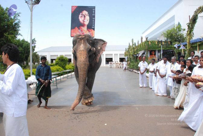 20090711 Photo 1013 1bmTU7lDTuGW2O77Yt3zDi1JuEWH9FGMQ.JPG