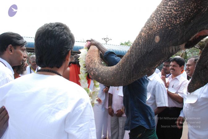 20090711 Photo 1027 14nOfGpLbUzaU1x57dpW eTUSreiO65J .JPG