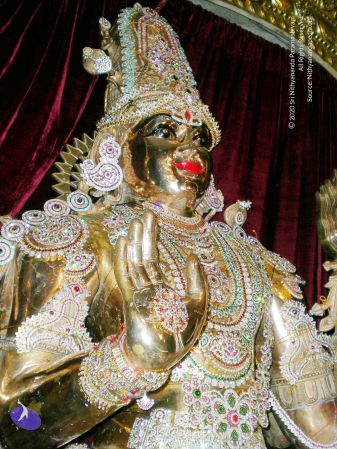 20090713 DSCN3008 CMP WM111.jpg