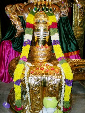 20090713 DSCN3012 CMP WM111.jpg