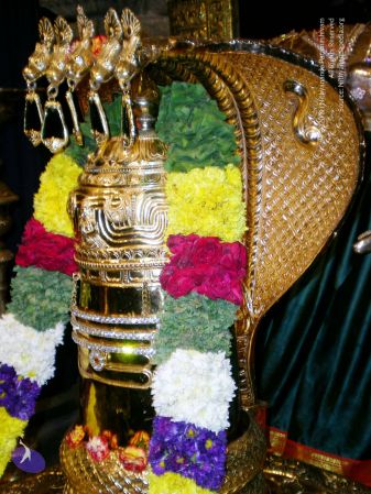 20090713 DSCN3024 CMP WM111.jpg