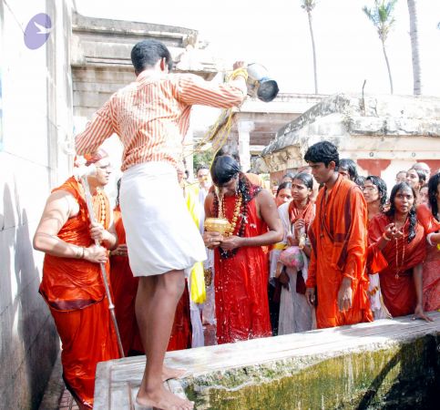 20090713 DSC 0012 CMP WM0011.jpg