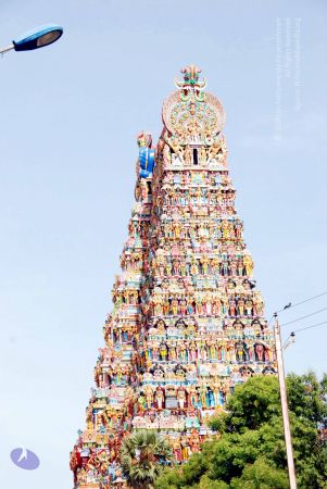 20090713 DSC 0144 CMP WM0011.jpg