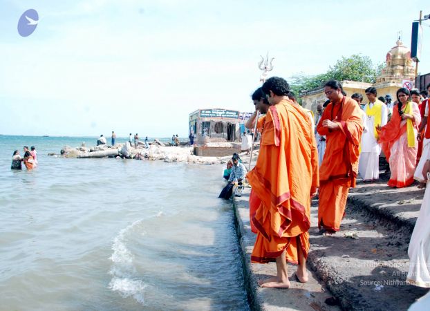 20090713 DSC 0247 CMP WM0011.jpg