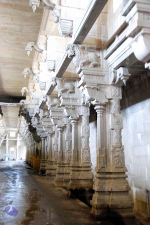 20090713 DSC 0425 CMP WM0011.jpg