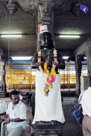 20090713 DSC 0445 CMP WM0011.jpg