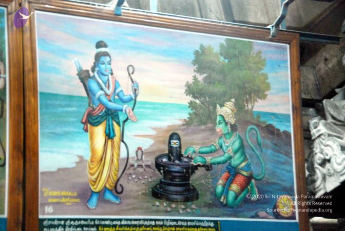 20090713 DSC 0672 CMP WM0011.jpg