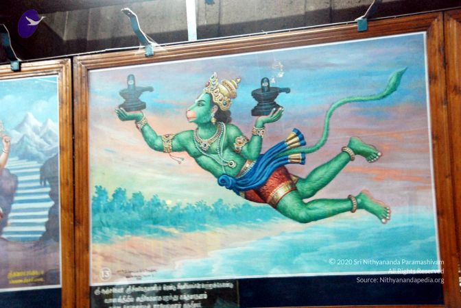 20090713 DSC 0676 CMP WM0011.jpg