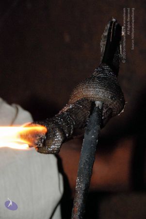 20090713 DSC 0711 CMP WM0011.jpg