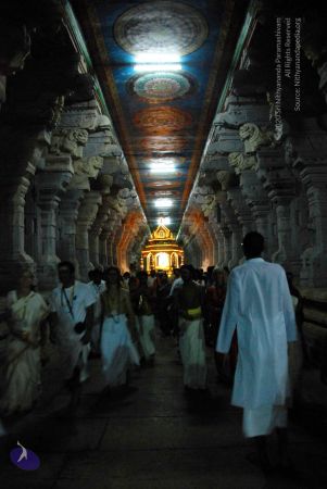 20090713 DSC 0782 CMP WM0011.jpg