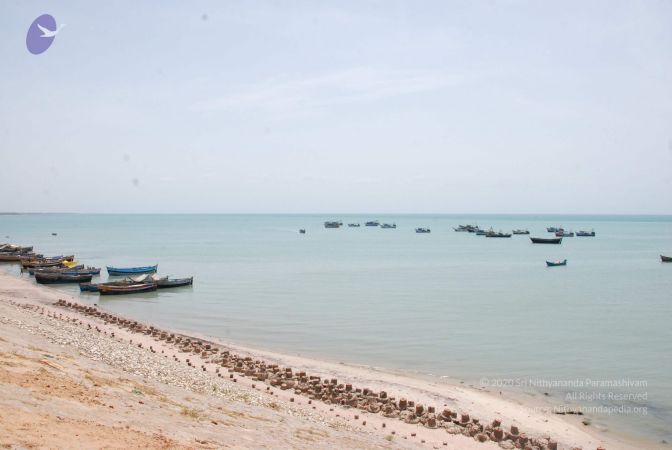 20090713 Photo 1001 11nkGz-YV8XNqMTt39RLwJr2XL0q-4oQE.JPG