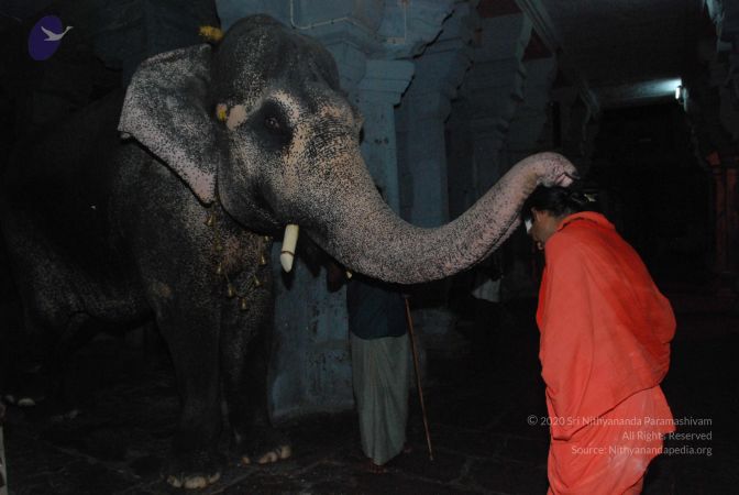 20090713 Photo 1543 1ENZxPtjfBIvRpDrbHshQnXogHtDXDhza.JPG