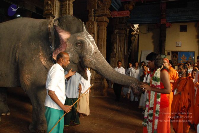 20090713 Photo 1703 1IRBtHxdyGU5ov-FxhLXIB3Suv04AOVUO.JPG