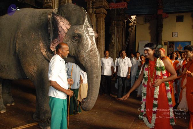 20090713 Photo 1705 1t9F Im42cAZp0S21CVuAC43FM-lEc-9Q.JPG