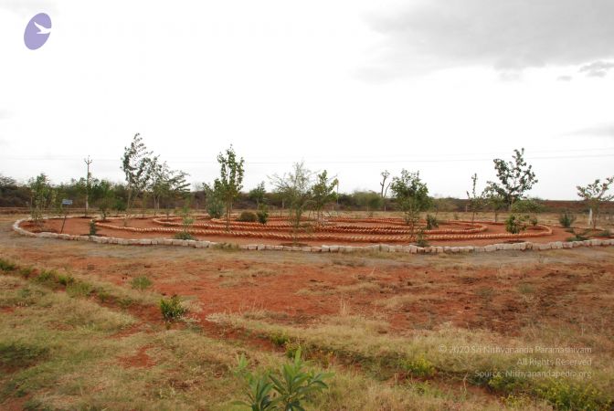 20090714 Photo 1177 1vQ42jDXdARC0FbWQ-zGcw6lR7td2XbGD.JPG