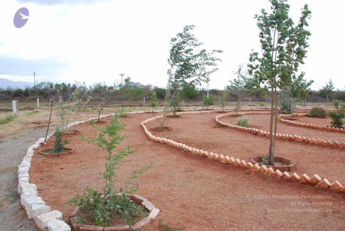 20090714 Photo 1182 1FyIY7j0eipqhDFf5UcT17VIV5cQQMeSF.JPG