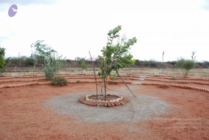 20090714 Photo 1184 1TgG-p2N41sVIV0jZboiHm lCXzmIJZns.JPG