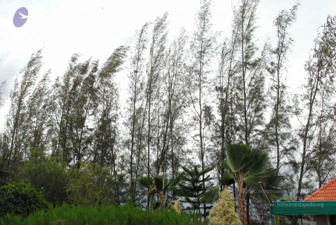 20090715 Photo 1138 1a8mtBOqV2UBVbEYx8R4XmtH8stqCg1RF.JPG