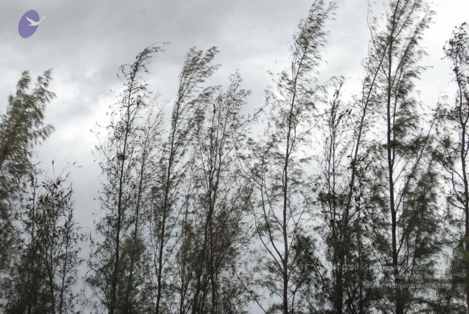 20090715 Photo 1162 14AbcVlg3PZQvlb8CbAemiEMamqNVuYur.JPG