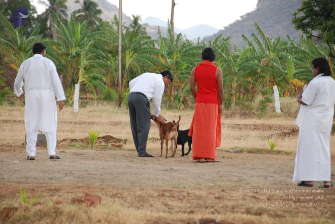 20090715 Photo 1235 1i8BEwrRCPI6U77KsnQK47gOOzdpbnOeK.JPG