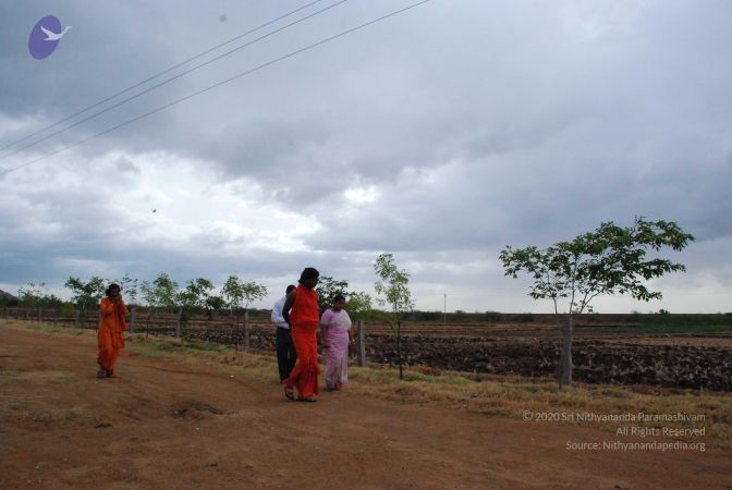 20090715 Photo 1290 1qrapaQrVQ0tEVy0xU1Vs9uM77DN WYQI.JPG