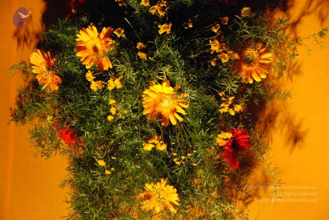 20090716 Photo 1133 1yTXy-5FOHCSsGiBQSiVphhH787uxWbJI.JPG