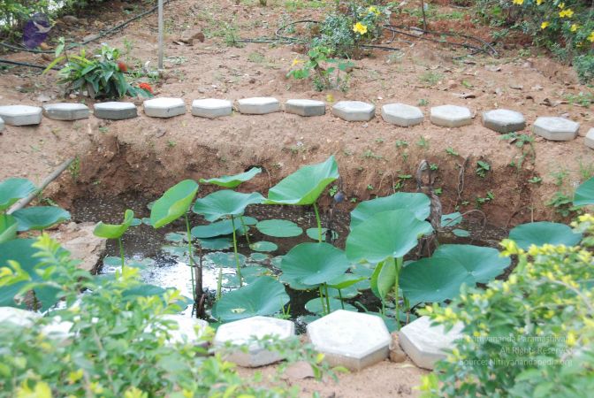 20090720 Photo 1108 1ZjXs3VYByAC0JCs8sAjXny9fMLFRkUHh.JPG