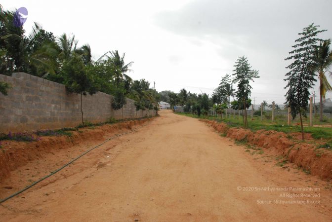 20090720 Photo 1109 1cpn1JkfTF7T8K2ETqZ1WciJ2GLte-5ZG.JPG