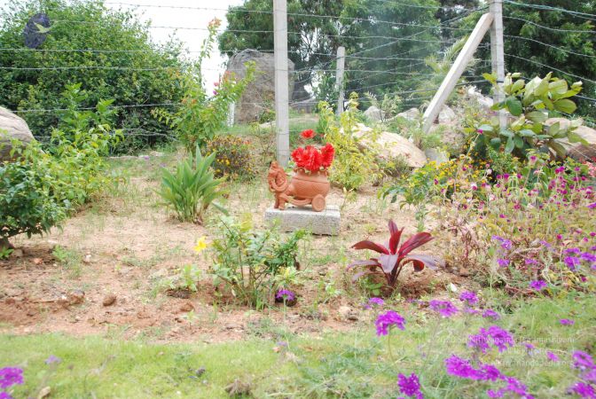 20090721 Photo 1092 1a6ln2INXUMv3YZ4eP1Ne1ygU49gplOlZ.JPG