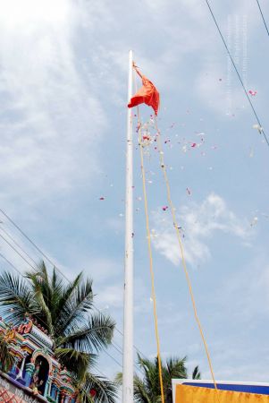 20090729 DSC 0186 CMP WM0011.jpg