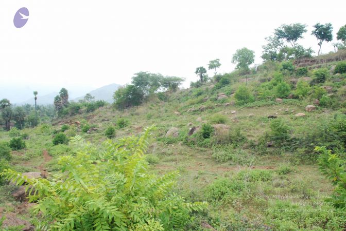 20090730 Photo 1017 13CmhESHjsnKvKOz6Pe1-tjj6SCjVuZ-4.JPG