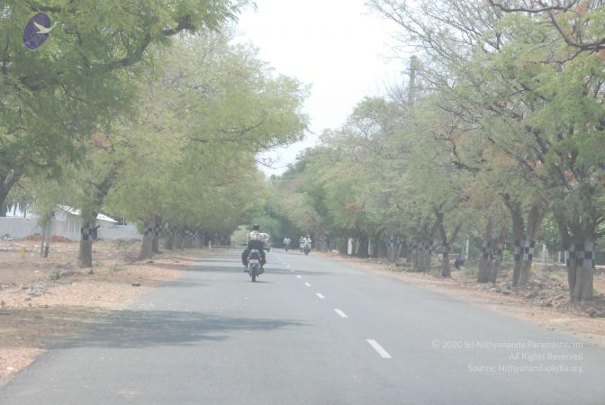 20090731 Photo 1164 1He4dx7S8MgKsU2NaUEVNnonaetu9wjJ-.JPG