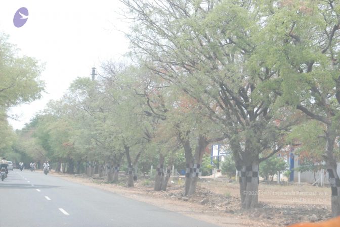 20090731 Photo 1165 1M4HGLALzYVwjrpNHZBBXo9OzIwcnByW .JPG