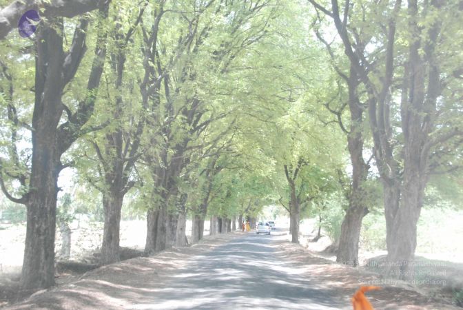 20090731 Photo 1210 1HMIh OoLbrt8zMMvegwKikE9s2LtgU2d.JPG