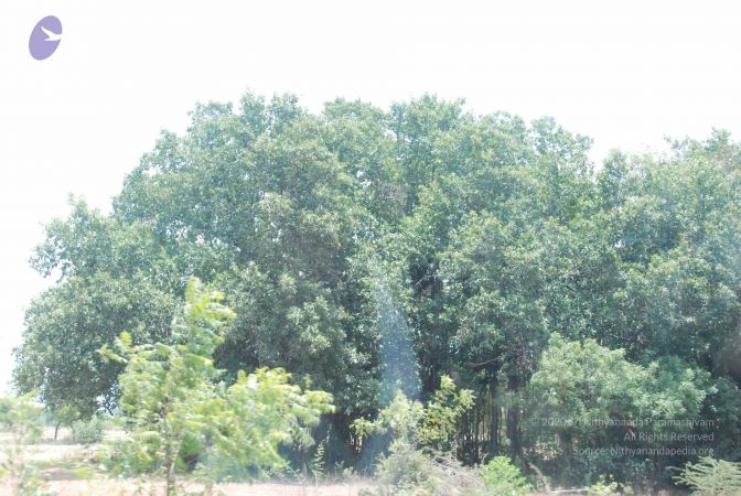 20090731 Photo 1233 1p179RP4YOb4QSu0jofT jak-w2NMAxgm.JPG