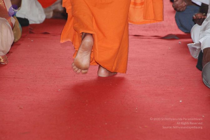 20090801 Photo 132 1MrGvX39hoDNlHPIsS4W9ShT3P8S1F7B0.jpg