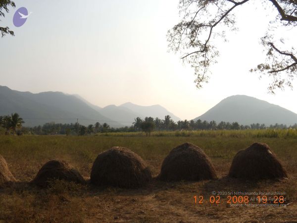 20090802 Photo 1028 1L3Xy fxMt9rQHSYTS4SuB0eQQq14ZH1Q.JPG