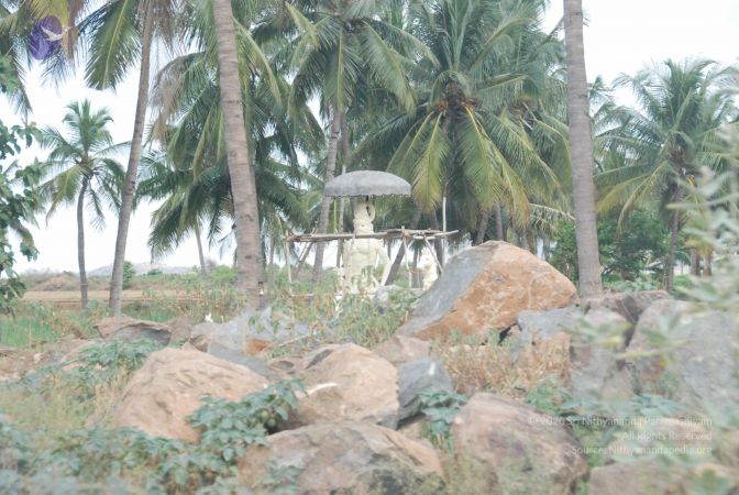 20090802 Photo 1082 12T8ZZiWglJIBGoyBjdiEvlAAjcBWSReL.JPG