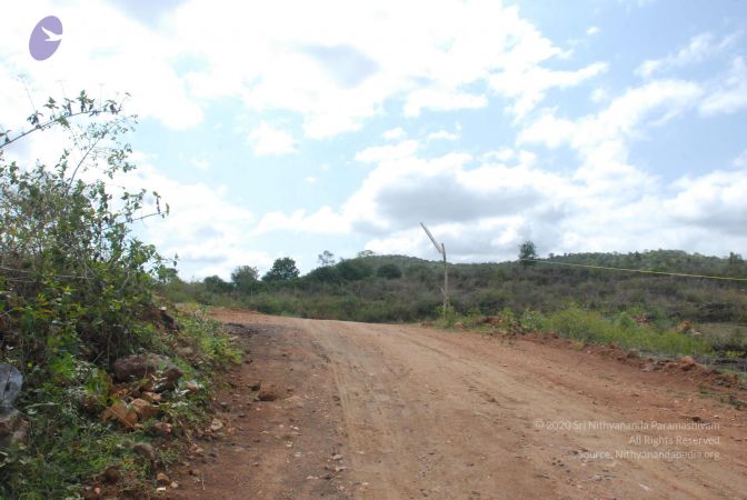 20090802 Photo 1164 1e3jz5Xl4TWfiJS8VSwsE2-HE3pEk4beH.JPG