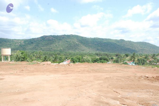 20090802 Photo 1190 1RrVQBQ5x8ZXiLrXMnFALeNp6YHqIDZNI.JPG