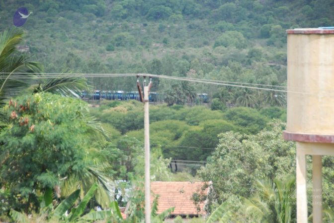 20090802 Photo 1198 1TKcUuK8zVQJgNWSYzO4rRE4oaRfzEjva.JPG