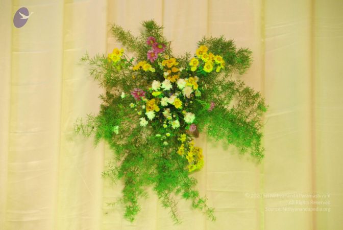 20090802 Photo 1716 1awtr7Cgp06qLCNBz21VHPZ7j CE4Tj9j.JPG