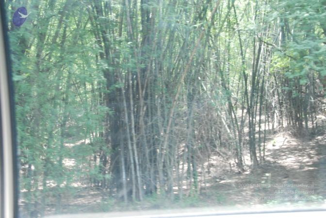 20090803 Photo 1040 1E1EhQu0EHi8KrLDs-2e rqoRF5z1 dQa.JPG