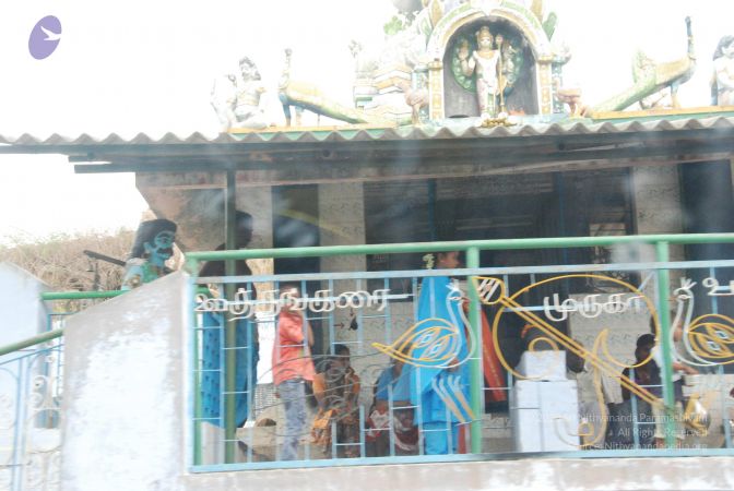 20090803 Photo 1057 1qKz6Dmxz7o8iMluGnjRNlGv7DkADzaH2.JPG