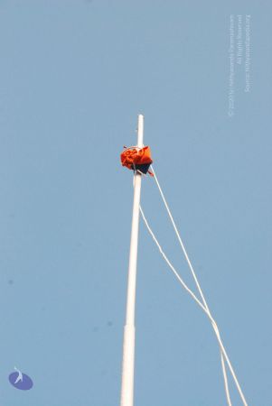 20090803 Photo 1124 1izlpIYRg1dJvkYaxYVpopg7V- hLM9G9.JPG