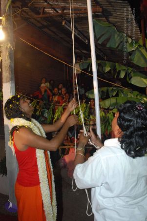 20090803 Photo 1222 195GjzxJNcZDAHCKPpFitWso5VYTZRrVc.JPG