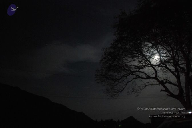 20090804 Photo 1273 1ISu X0itD3J-6VqIN50tp5c-0o7oKEFi.JPG