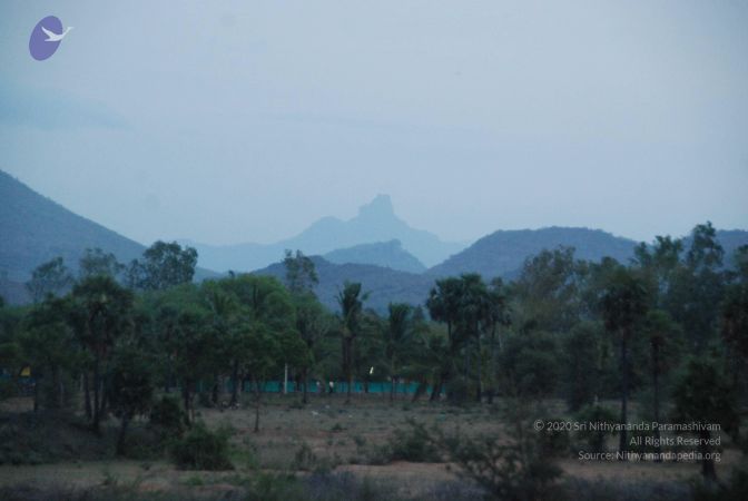 20090805 Photo 1021 1Hys930bNtfZuIu1F MVznOYQ4mqGyzu5.JPG