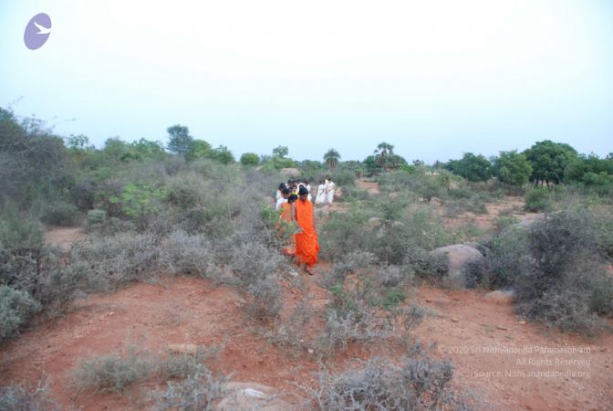 20090805 Photo 1058 1MIHXzMdJGqj9wED3Zg0QYe19idp3EZdc.JPG